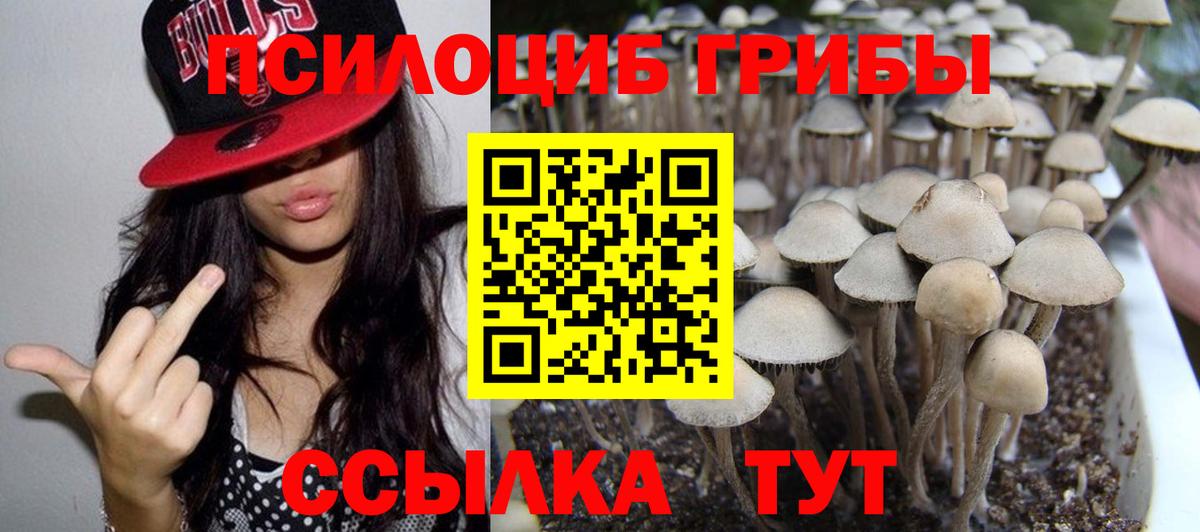 Псилоцибиновые грибы Psilocybe  Вход с VPN  Вологда 